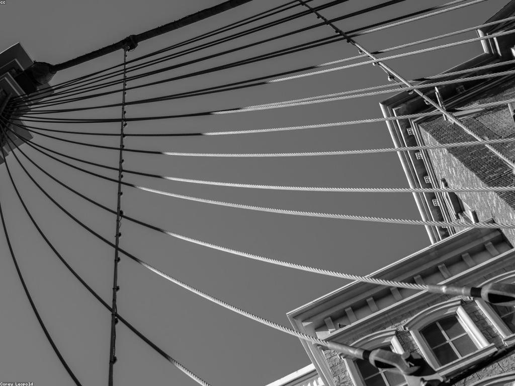 វិភាគនៃមិនហ្គេមកាស៊ីណូថ្មី