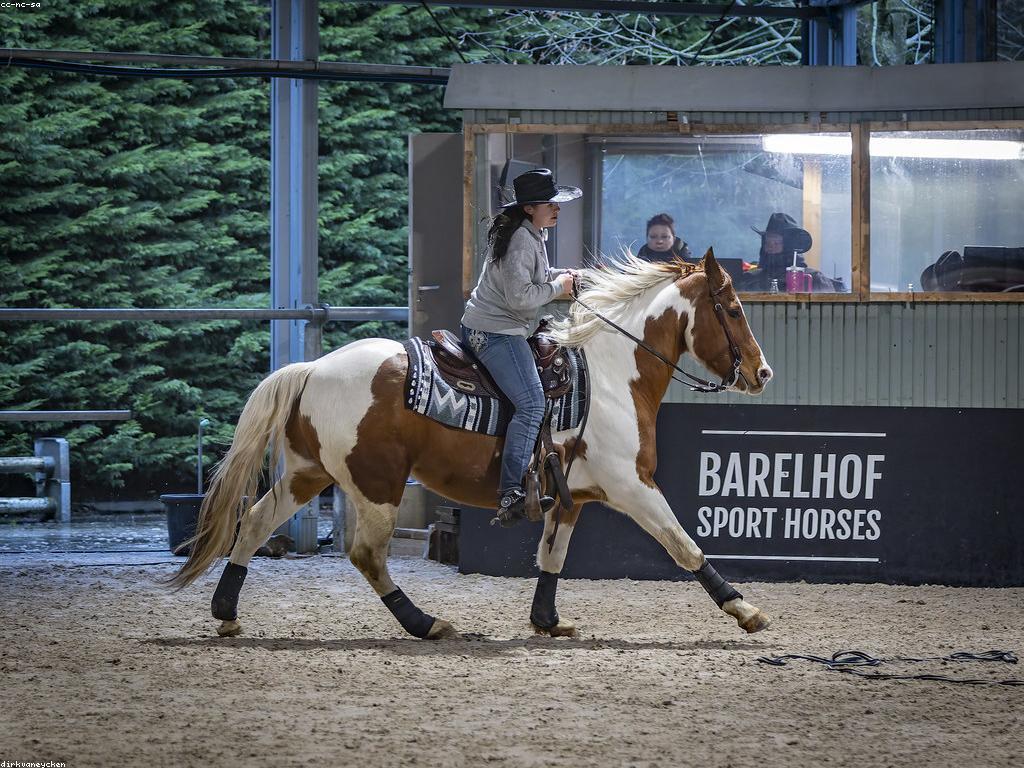 ការប្រកួតនិងការផ្តល់ជូនសម្រាប់អ្នកសាកល្បង