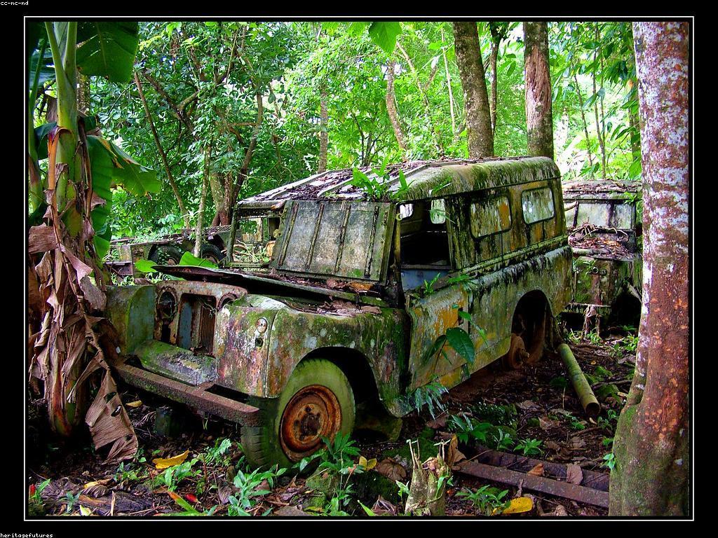 ផលប៉ះពាល់នៃការប្រកួតប្រជែងលើការលូតលាស់នៃអាជីវកម្ម