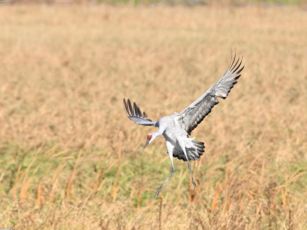 ផលប៉ះពាល់នៃកំណត់ហេតុថ្មីៗលើអប់រំលើជីវិតប្រចាំថ្ងៃ