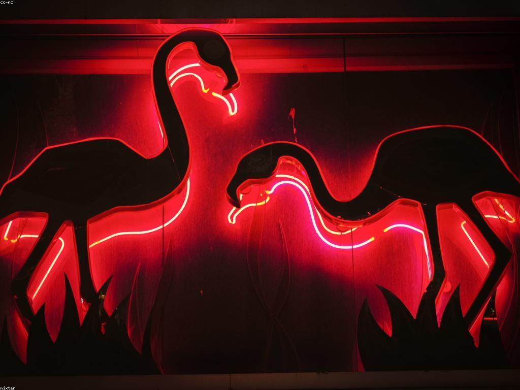 ការវិភ័យនូវចំណេះដឹងថ្មីនៅក្នុងកាស៊ីណូ